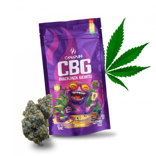 CBG Цветя Blackjack Gelato 69%